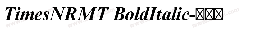 TimesNRMT BoldItalic字体转换